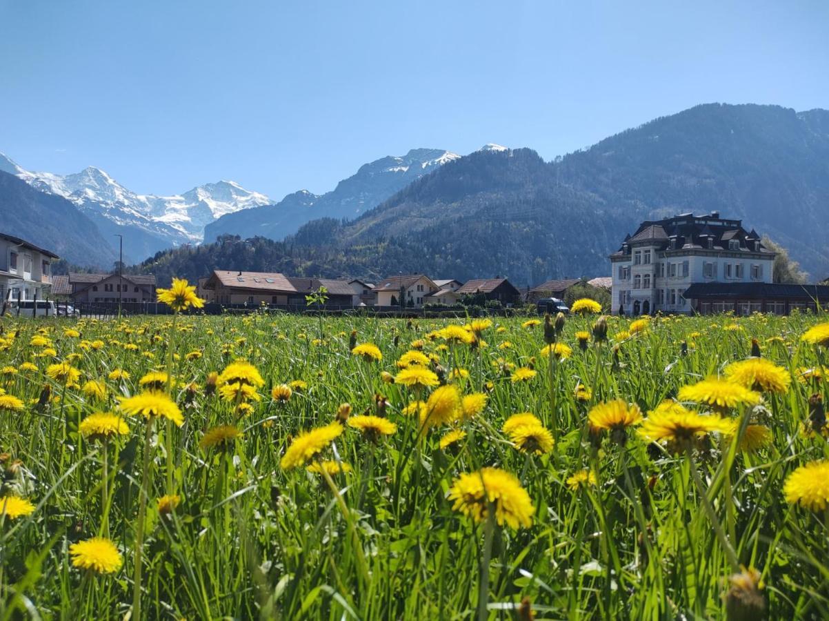 Hostel Adventure Interlaken